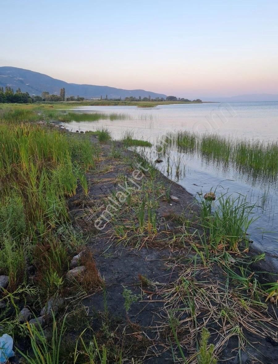 Bursa Orhangazi , Çakırlı,da Zeytinlik - Bağ Satılık - Görsel 7