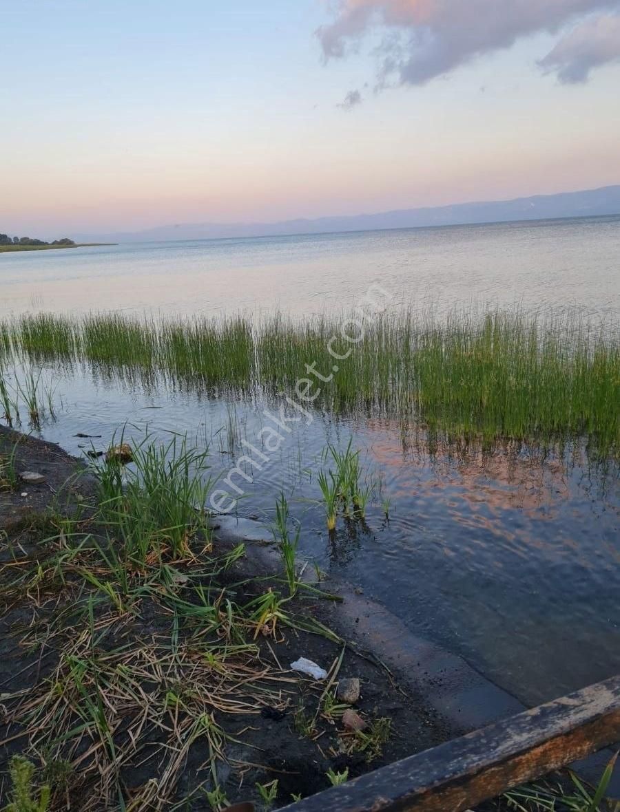 Orhangazi Çakırlı Satılık Bağ & Bahçe Bursa Orhangazi , Çakırlı,da Zeytinlik - Bağ Satılık