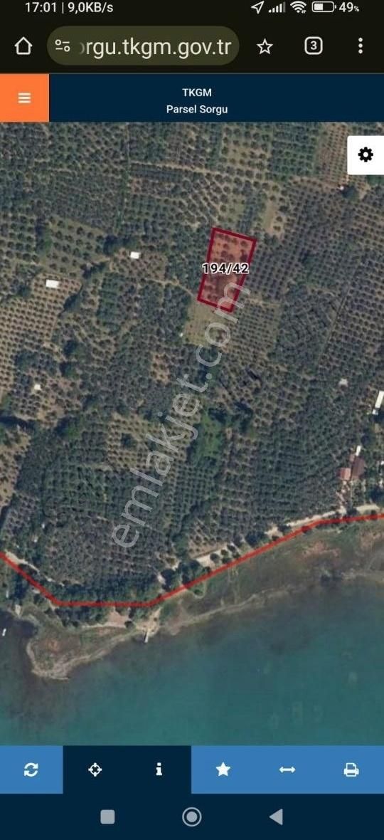 Bursa Orhangazi , Çakırlı,da Zeytinlik - Bağ Satılık - Görsel 4