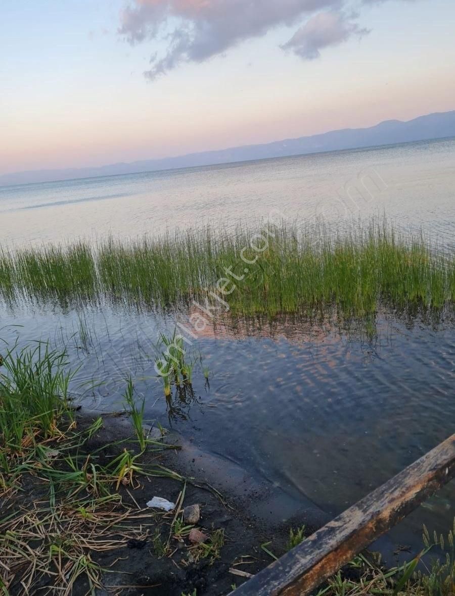 Bursa Orhangazi , Çakırlı,da Zeytinlik - Bağ Satılık - Görsel 5