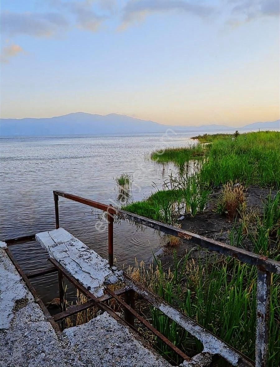 Bursa Orhangazi , Çakırlı,da Zeytinlik - Bağ Satılık - Görsel 9