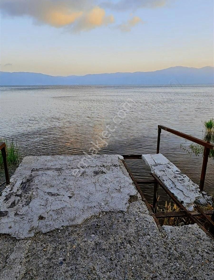 Bursa Orhangazi , Çakırlı,da Zeytinlik - Bağ Satılık - Görsel 6
