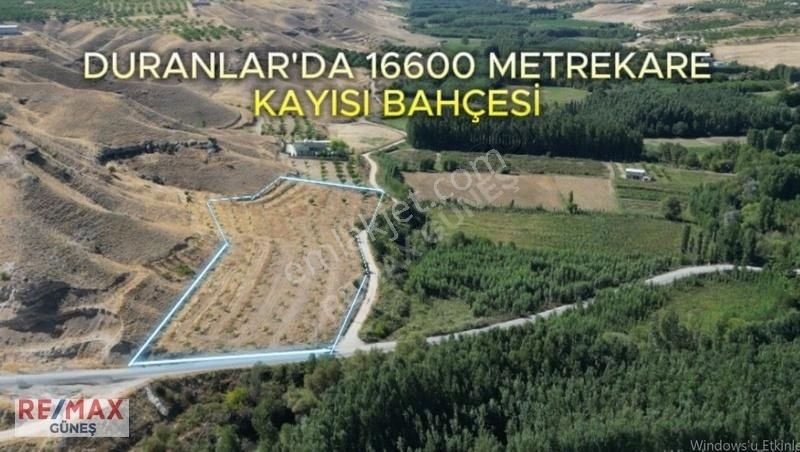 Yeşilyurt Duranlar Satılık Bağ & Bahçe Duranlar'da 16600 Metrekare Remax Güneş'ten Kayısı Bahçesi