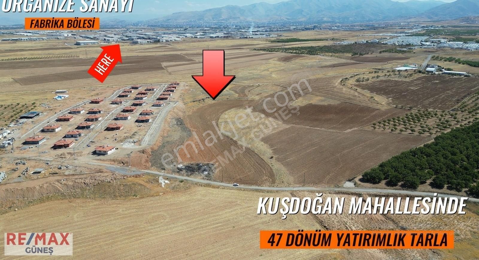 Yeşilyurt Kuşdoğan Satılık Tarla Kuşdoğan Da Küme Evlerine Sıfır 47 Dönüm Tarla