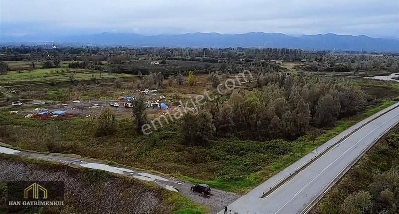 Çarşamba Beyyenice Satılık Tarla DOĞAL YAŞAM YOLUNDA KAÇIRILMAYACAK FIRSAT TARLA