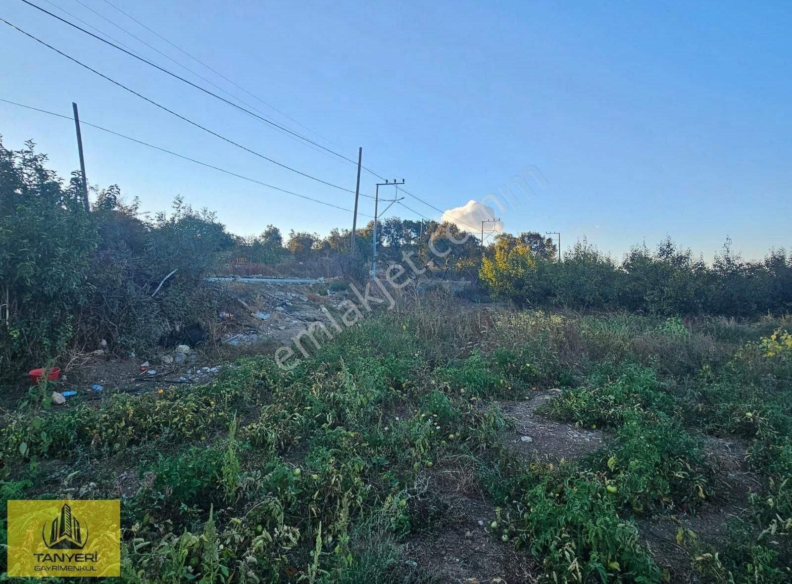 Çanakkale Merkez Musaköy Köyü Satılık Tarla ÇANAKKALEYE 10 DK İMARA 30 MT MERKEZ MUSAKÖYDE ACİLLL SATILIK