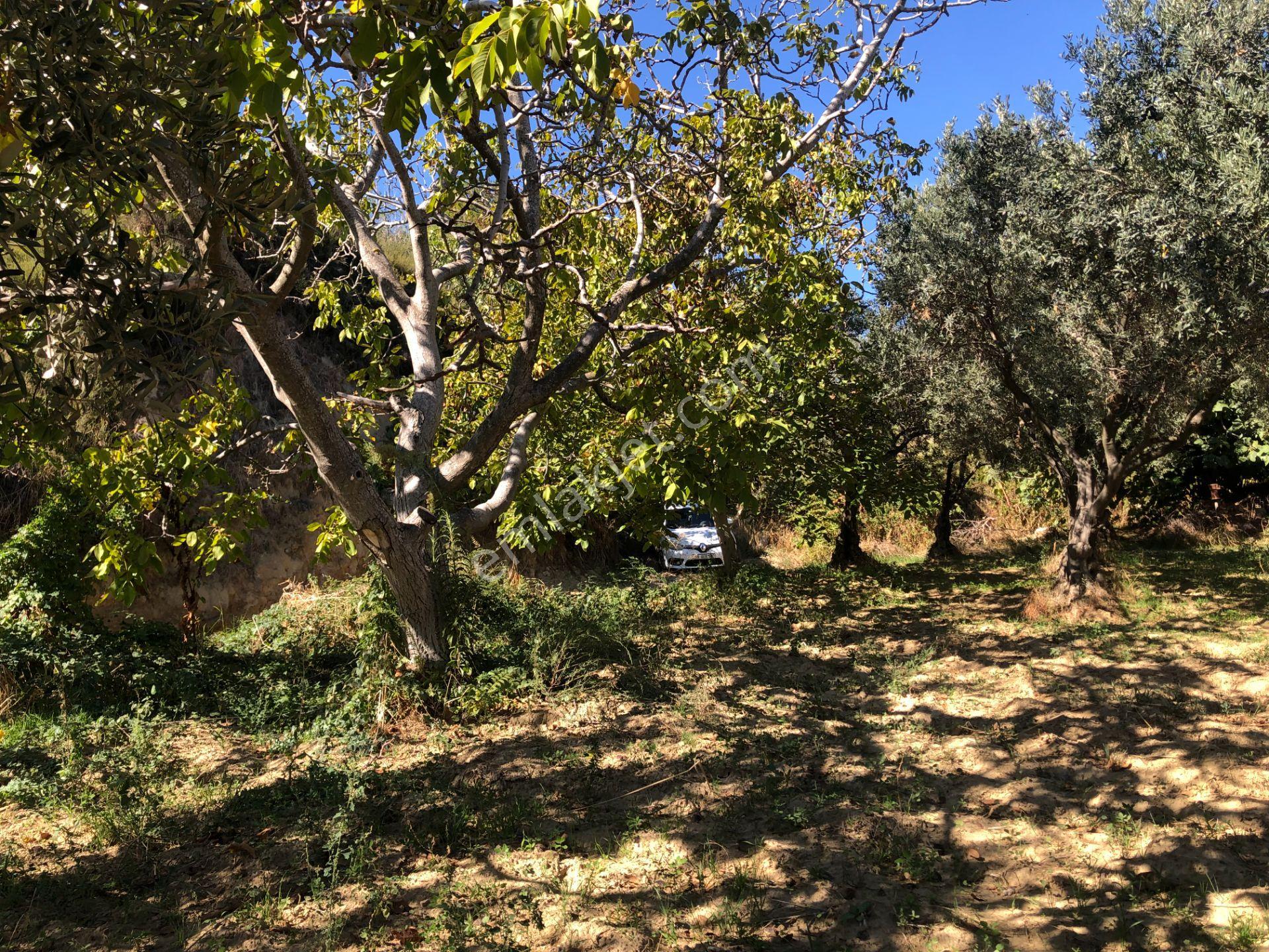 Şarköy De Işık Emlaktan Yukarıkalamış Mah De 644 M2 0/35 İmarlı Arsa - Görsel 8
