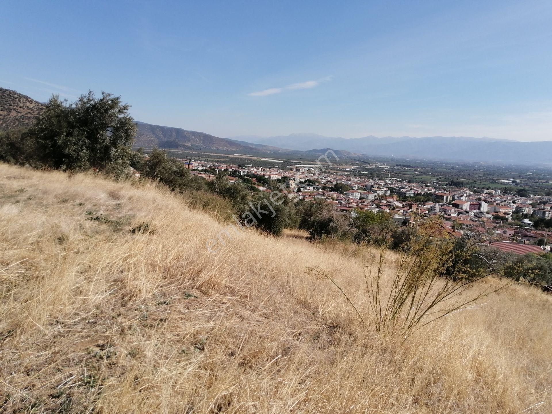 İzmir Torbalı Gold Emlaktan Satılık Bahçe Nitelikli Arsa - Görsel 11