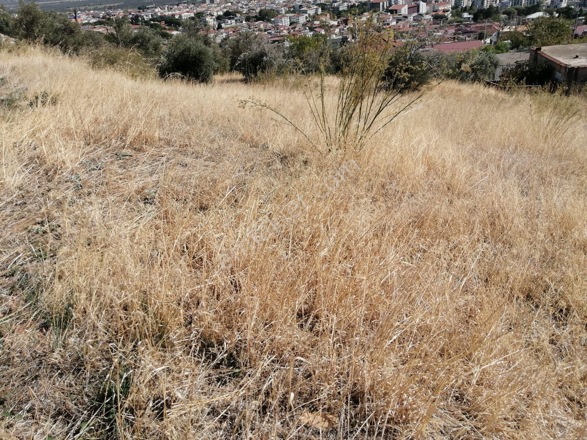 İzmir Torbalı Gold Emlaktan Satılık Bahçe Nitelikli Arsa - Görsel 3