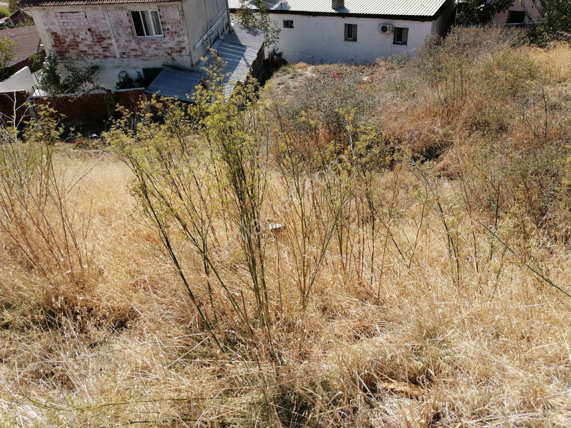 İzmir Torbalı Gold Emlaktan Satılık Bahçe Nitelikli Arsa - Görsel 5