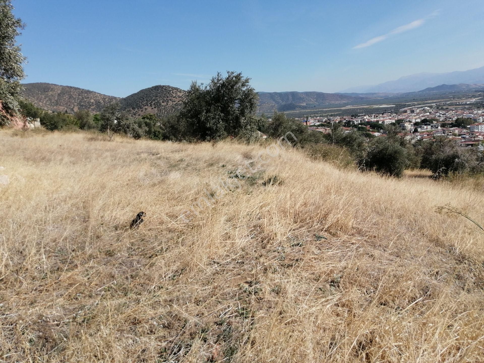 İzmir Torbalı Gold Emlaktan Satılık Bahçe Nitelikli Arsa - Görsel 6