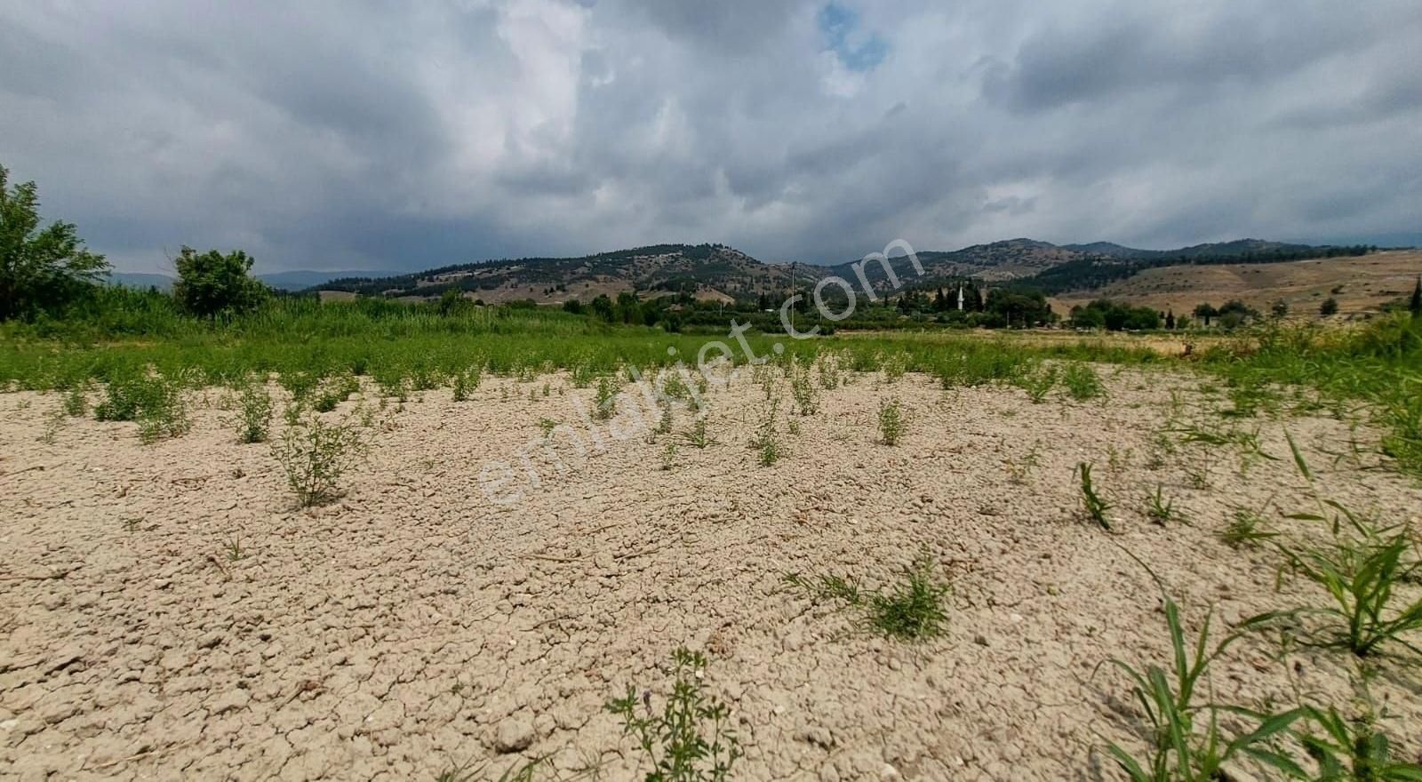 Pamukkale Kavakbaşı Satılık Tarla PAMUKKALE AKKÖY KAVAKBAŞINDA SATILIK SULU VERİMLİ TARLA