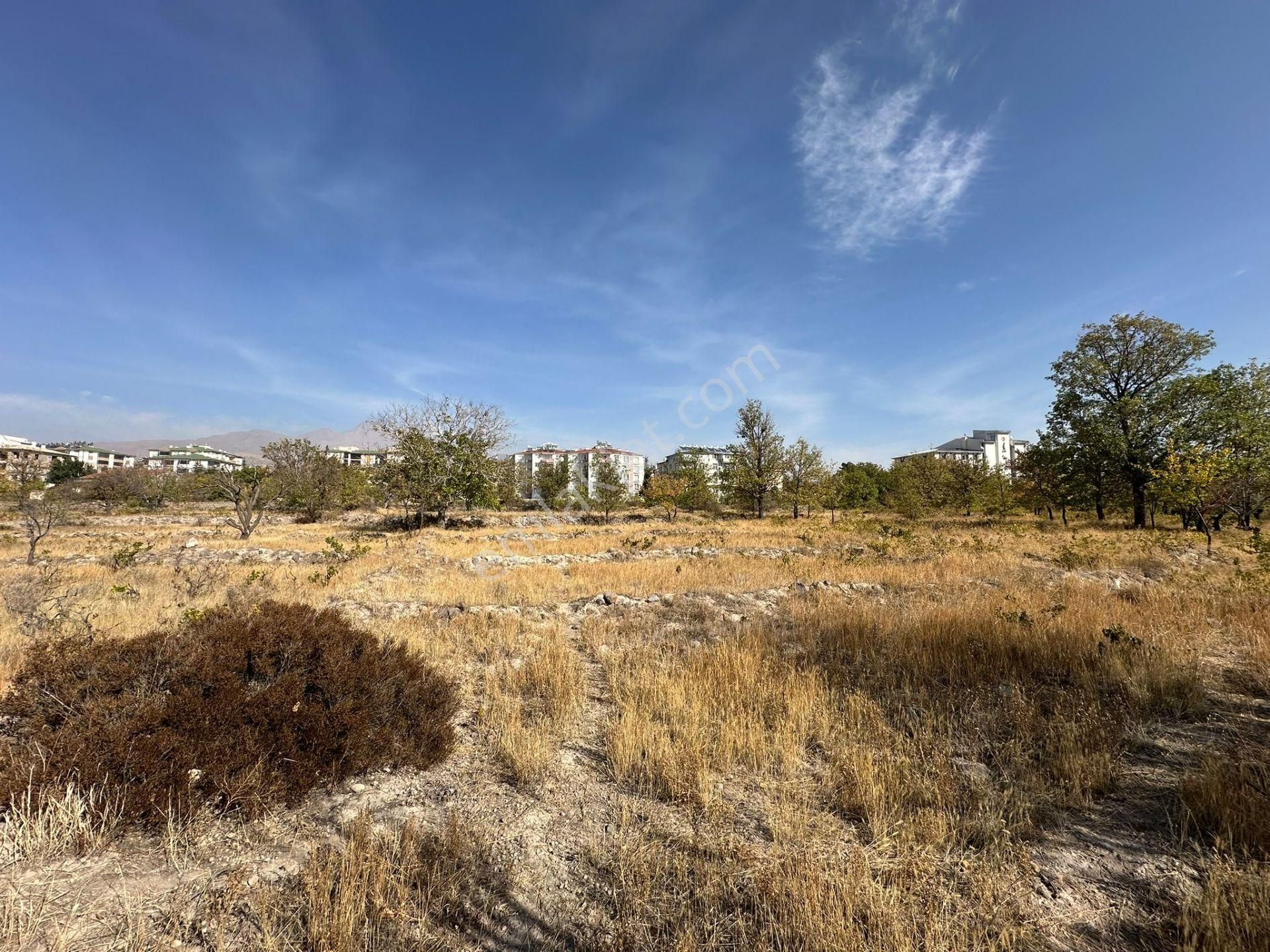 Öz Gaye Emlaktan Develi Camicedit Çakılarası Mevkiinde Satılık Bağ Yeri - Görsel 3