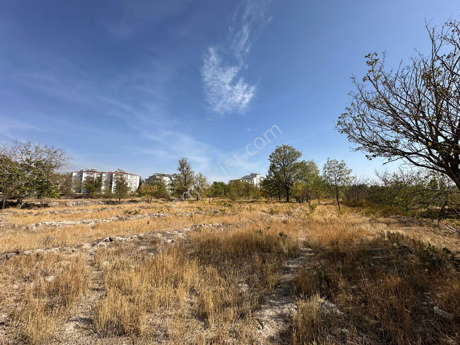 Öz Gaye Emlaktan Develi Camicedit Çakılarası Mevkiinde Satılık Bağ Yeri - Görsel 2