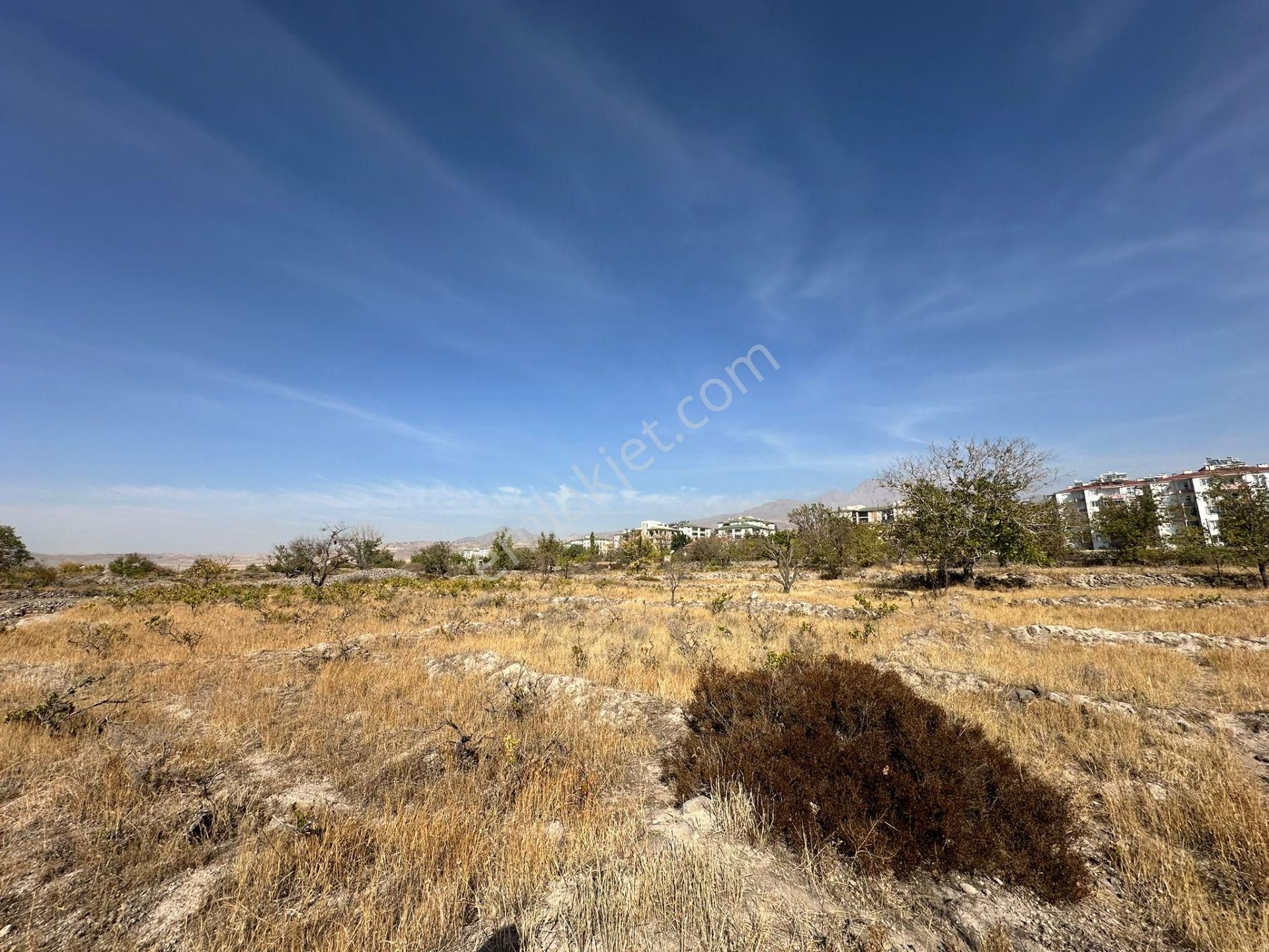 Öz Gaye Emlaktan Develi Camicedit Çakılarası Mevkiinde Satılık Bağ Yeri - Görsel 5