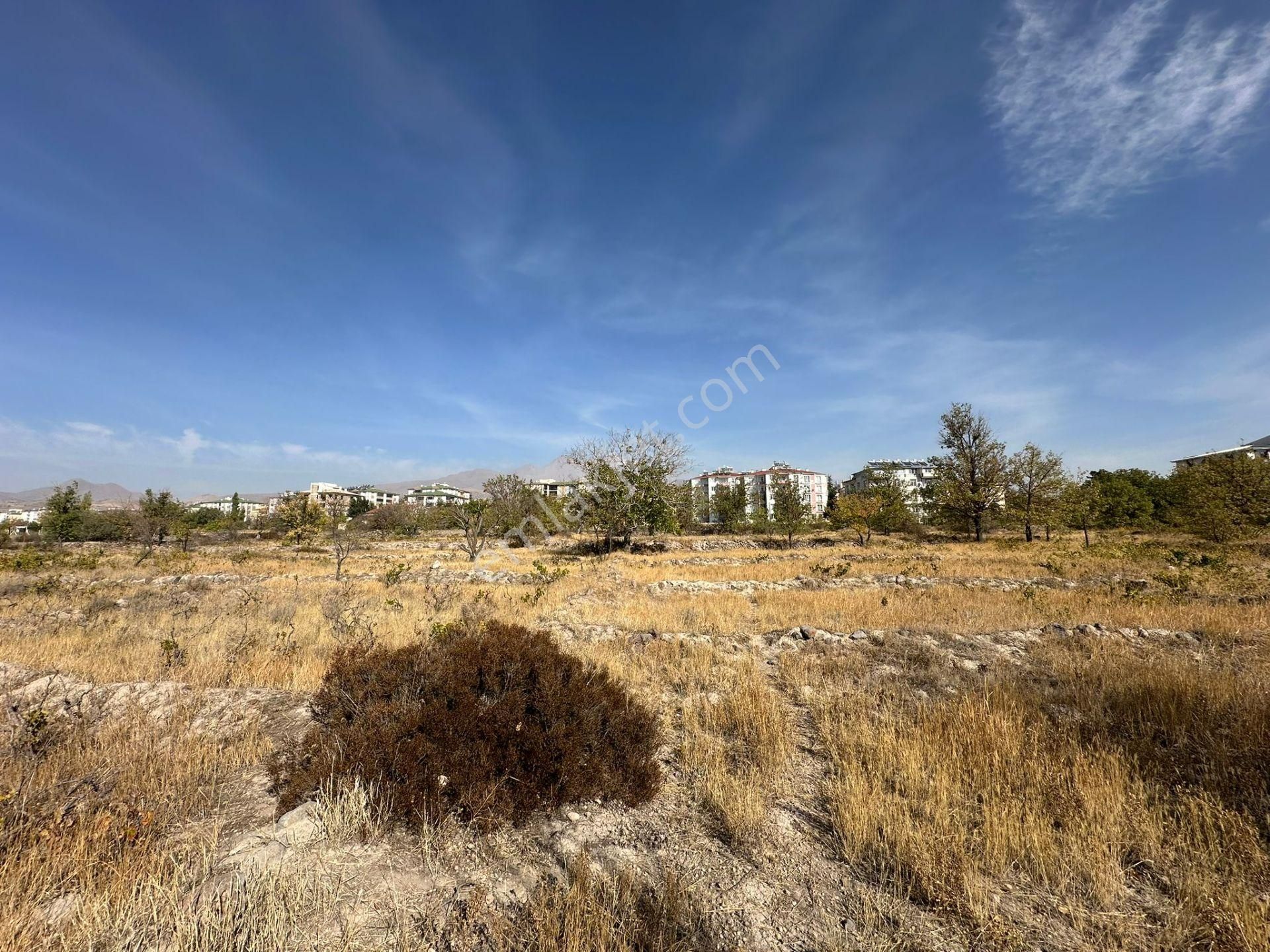 Öz Gaye Emlaktan Develi Camicedit Çakılarası Mevkiinde Satılık Bağ Yeri - Görsel 4