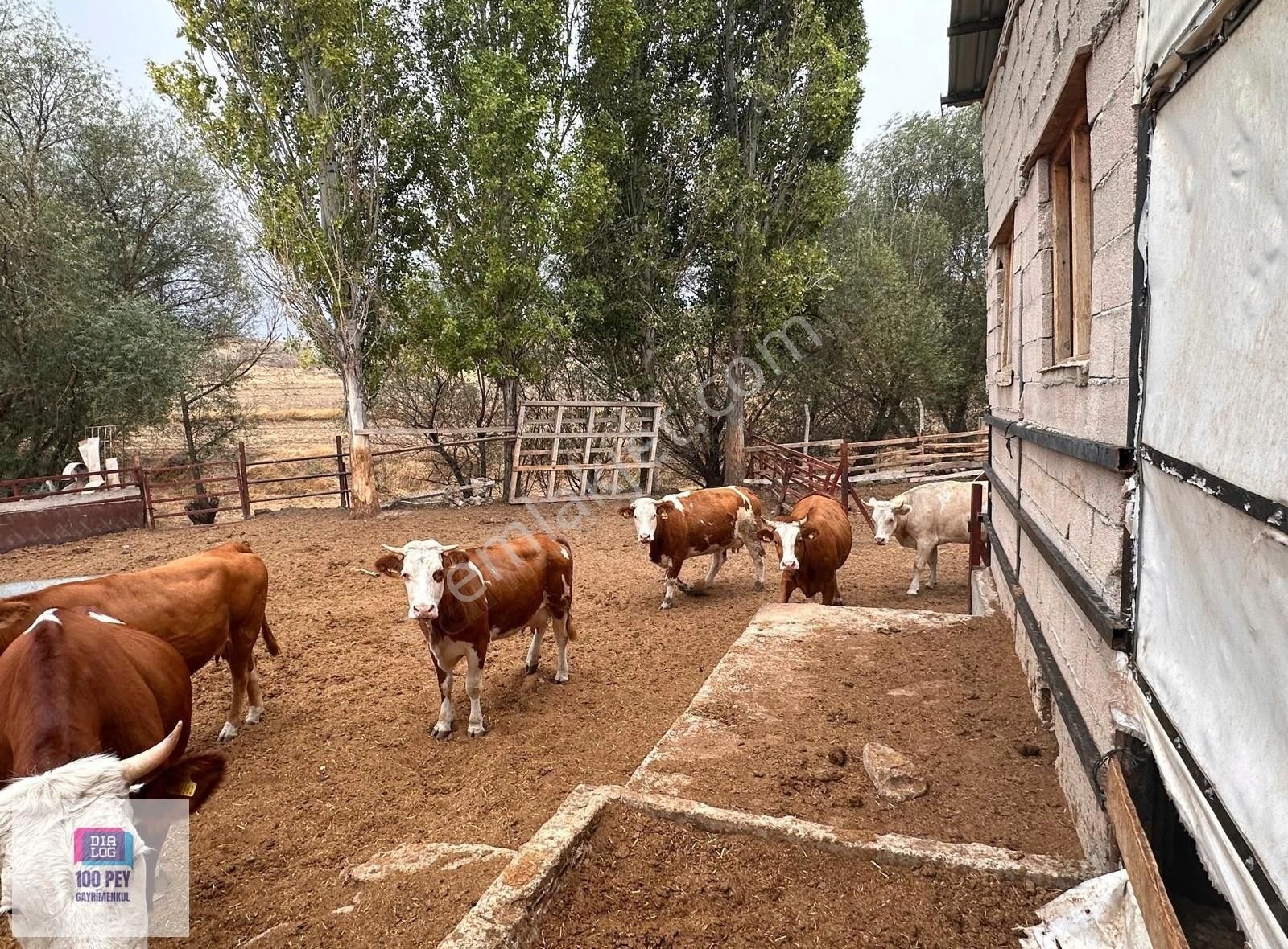 Haymana Mandıra Satılık Çiftlik Evi  HAYMANA MANDIRA(KARAÖMERLİ)'DE SATILIK BÜYÜKBAŞ KÜÇÜKBAŞ ÇİFTLİK