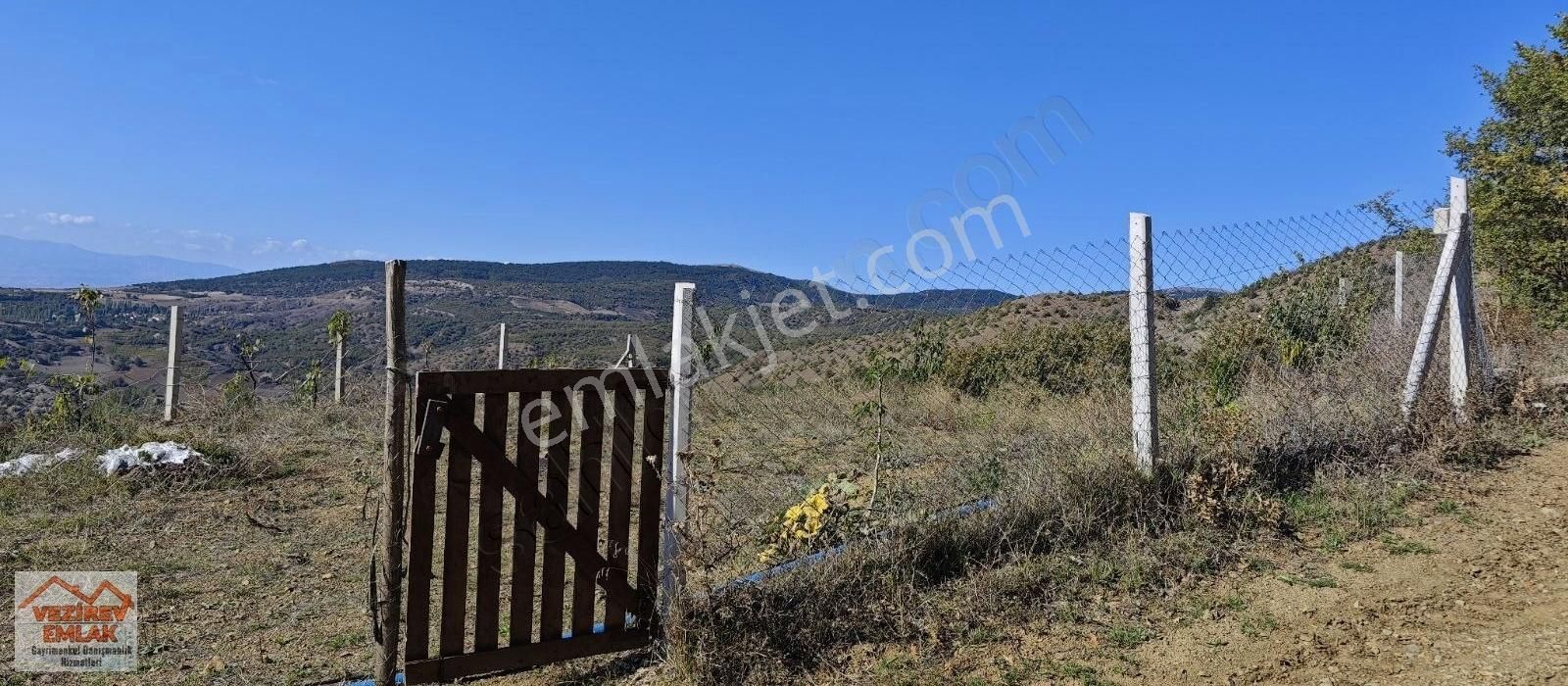 Suluova Boyalı Köyü Satılık Tarla Vezirev Emlaktan Boyalı Köyünde Bahçe