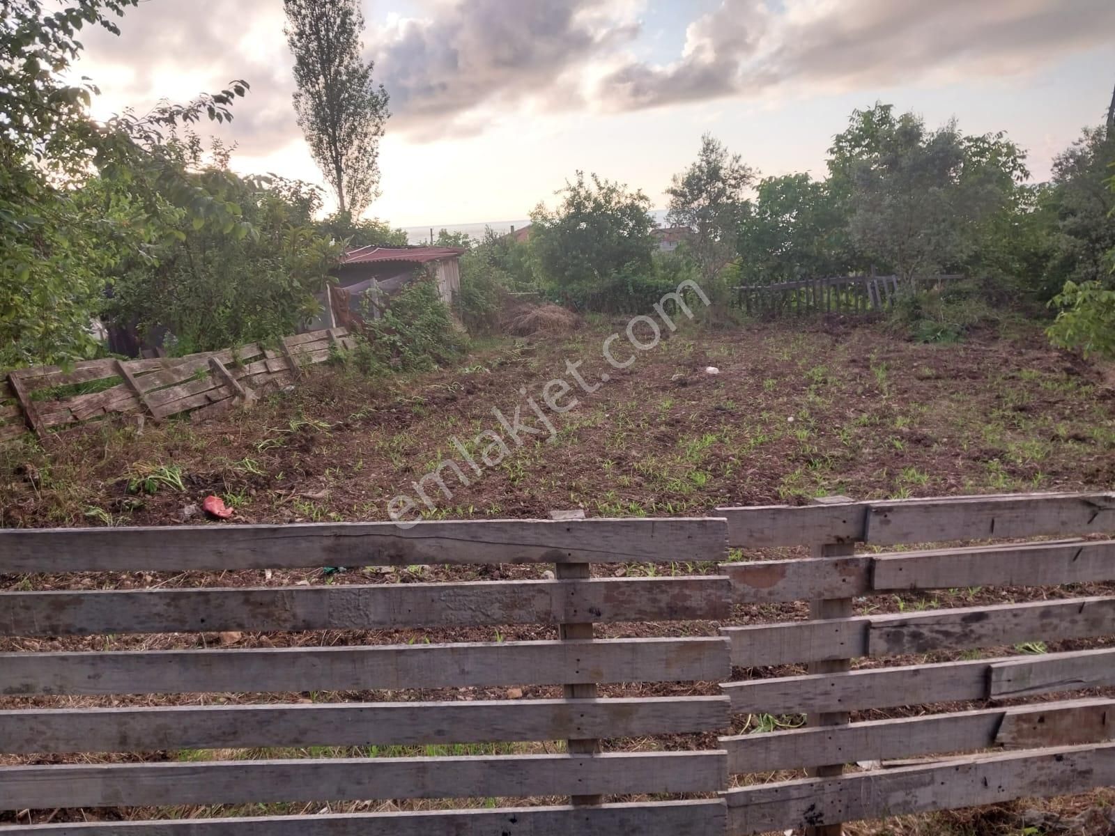 Cide Kumluca Satılık Dağ Evi  CİDE DEMİRTAŞ EMLAKTAN SATILIK BUNGALOV EV