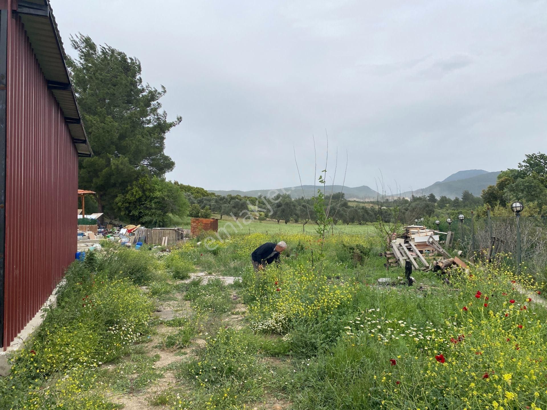 Milas Karacahisar Mahallesinde Satılık Hobi Bahçesi - Görsel 2