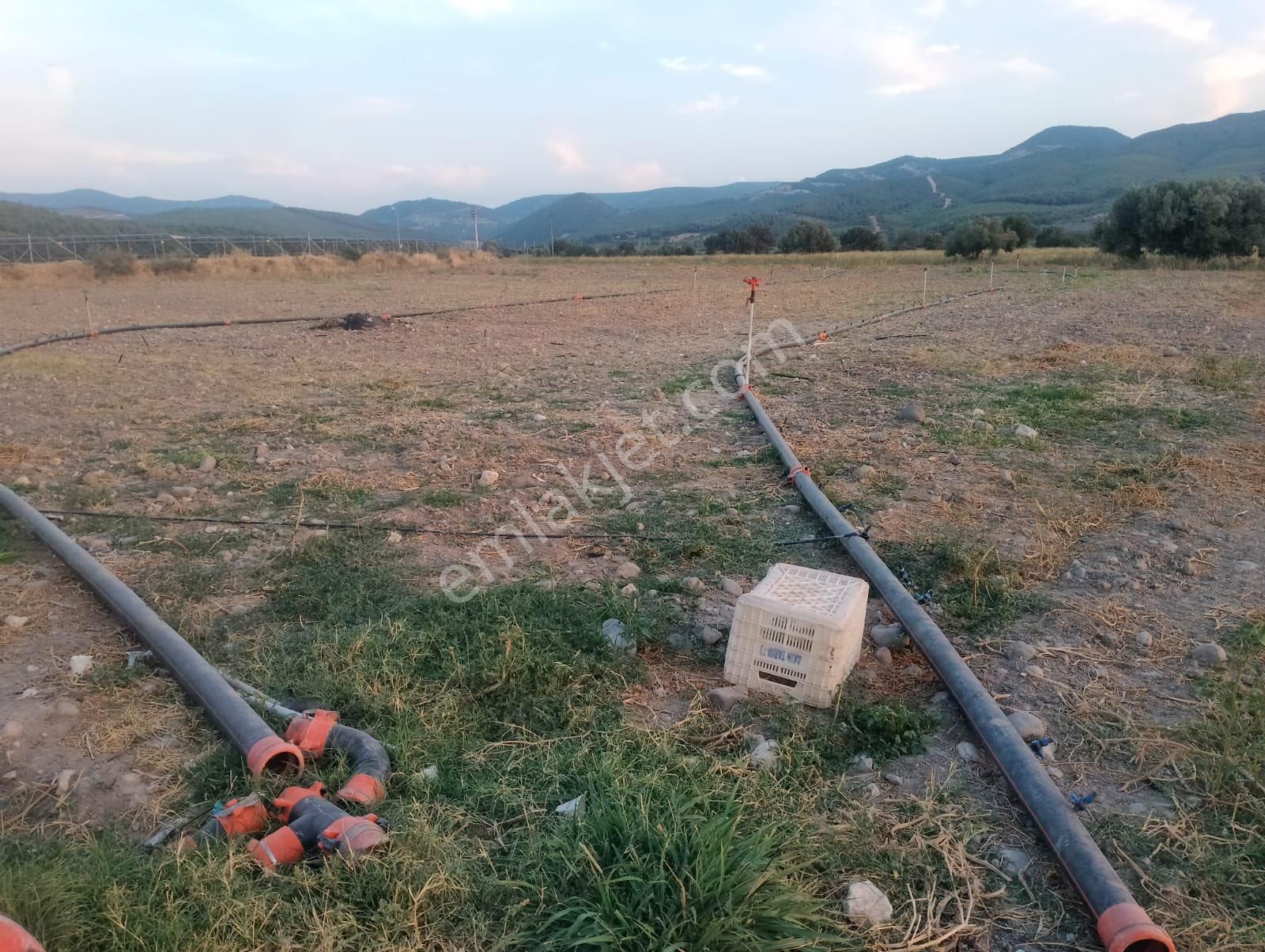 Kınık Kocaömer Satılık Tarla ELAGÖZ GAYRİMENKULDENSATILIK TARLA ORGANİZE YANI