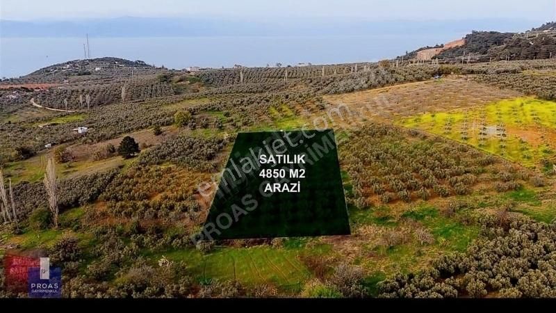 Mudanya Altıntaş Satılık Tarla MUDANYA ALTINTAŞ' DA TEK TAPU DENİZ MANZARALI 4.850 M2 TARLA