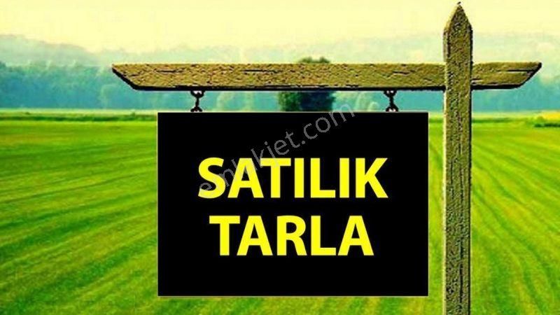 Erdemli Sarıkaya Satılık Tarla  MERSİN ERDEMLİ SARIKAYA CEDRUS LİFE BONGALOW BİTİŞİĞİ SATILIK ARSA