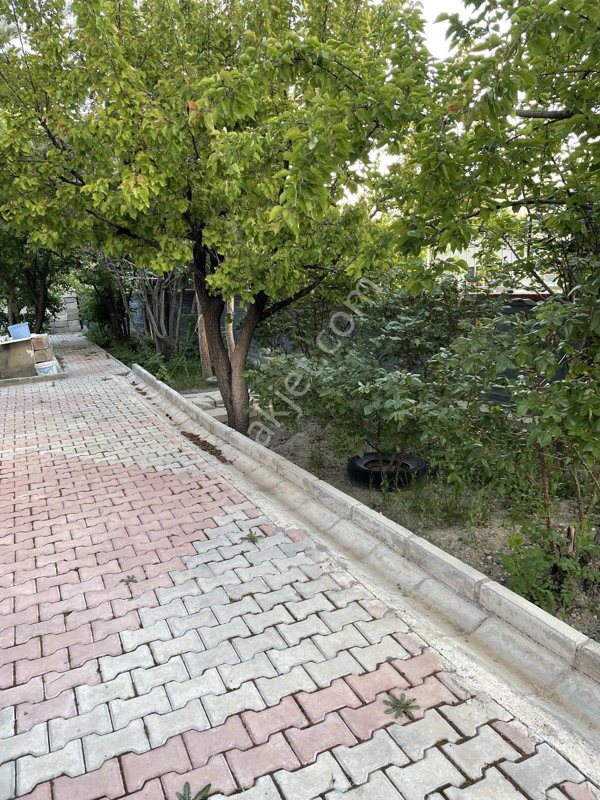 Yola 100 Mt Kaçırılmayacak Fırsat - Görsel 19