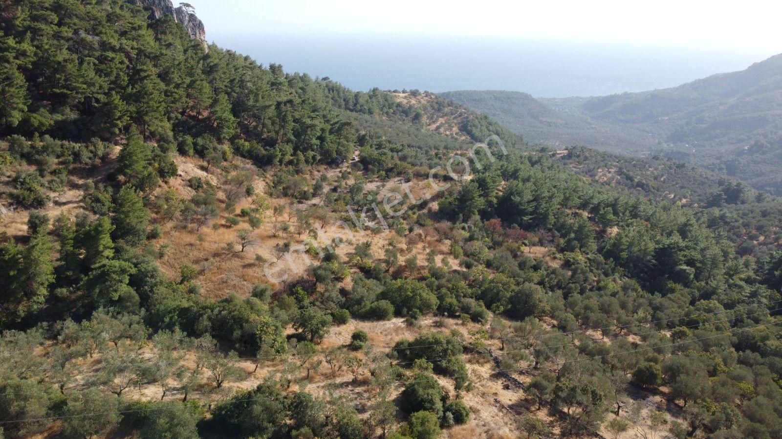 Ayvacık Ahmetçe Köyü Satılık Tarla  Çanakkale Ayvacık Ahmetçe Köyünde Deniz Manzaralı Satılık Tarla (Lütfen Açıklamayı Okuyun)