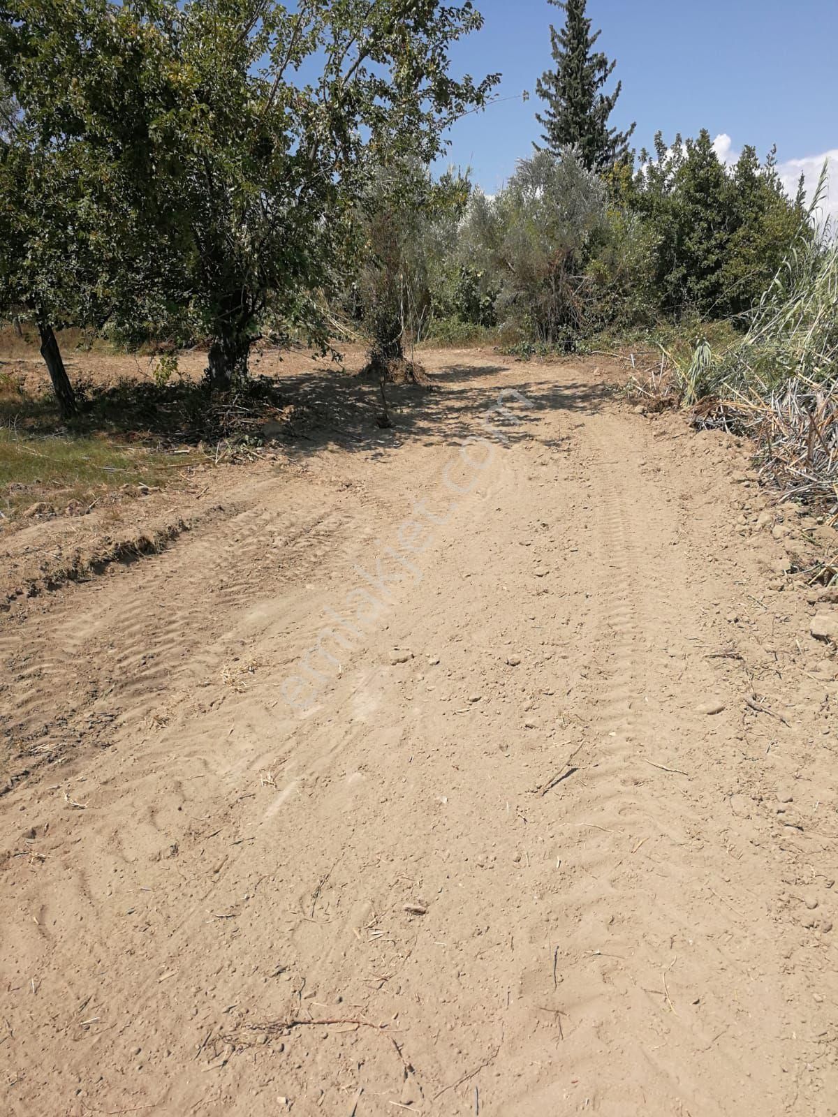 D 400 Karayoĺuna Sıfır, Ticari İmarlı, Dolgusu Yapılmiş 10 Yıllığına İticari İmarlı Arsa - Görsel 2