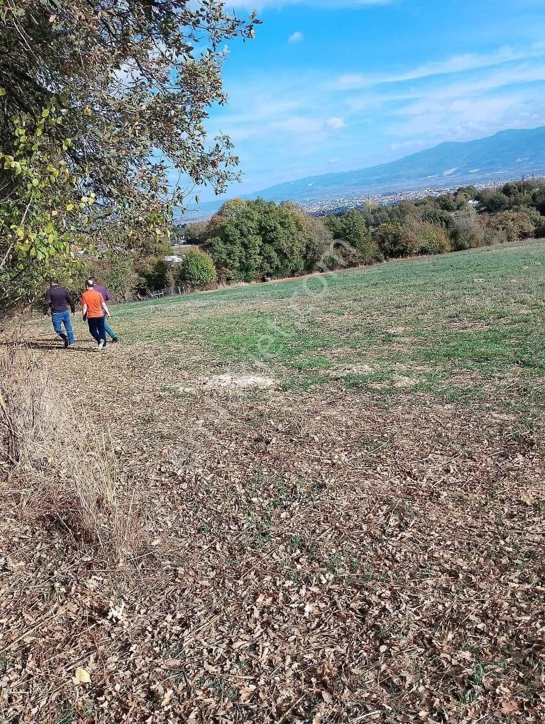 Bolu Merkez Kürkçüler Satılık Arazi Tabiatın Kalbi Bolu'da Sahibinden 1060 Metrekare Bahçe...