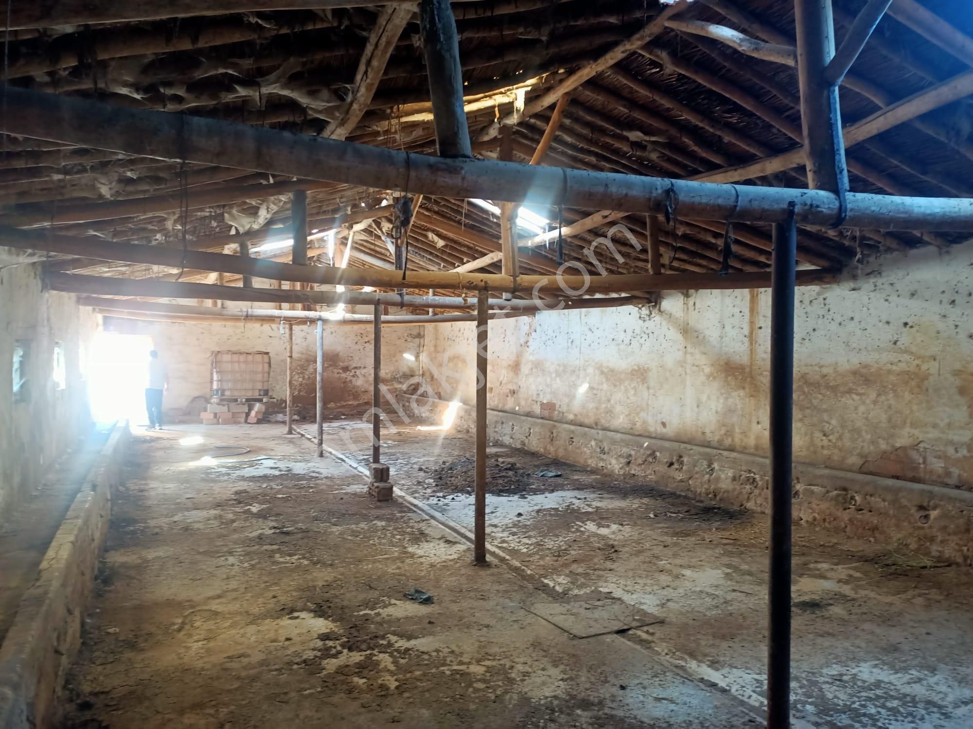 Çavdar Emlak'tan Satılık Ahırlı Müstakil İki Katlı Ev - Görsel 6