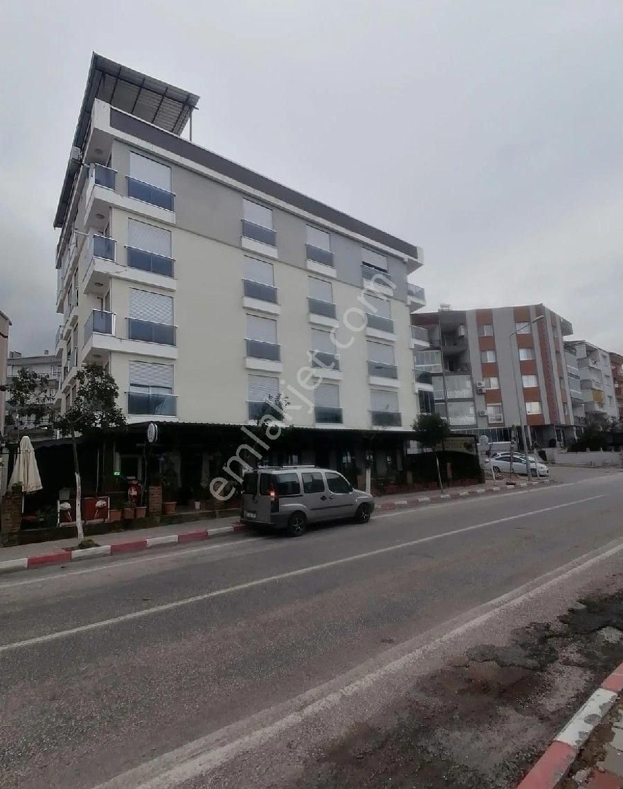 Kemalpaşa Armutlu Hürriyet Kiralık Daire Kemalpaşa Armutlu 2+1 D.gazlı 85 M2