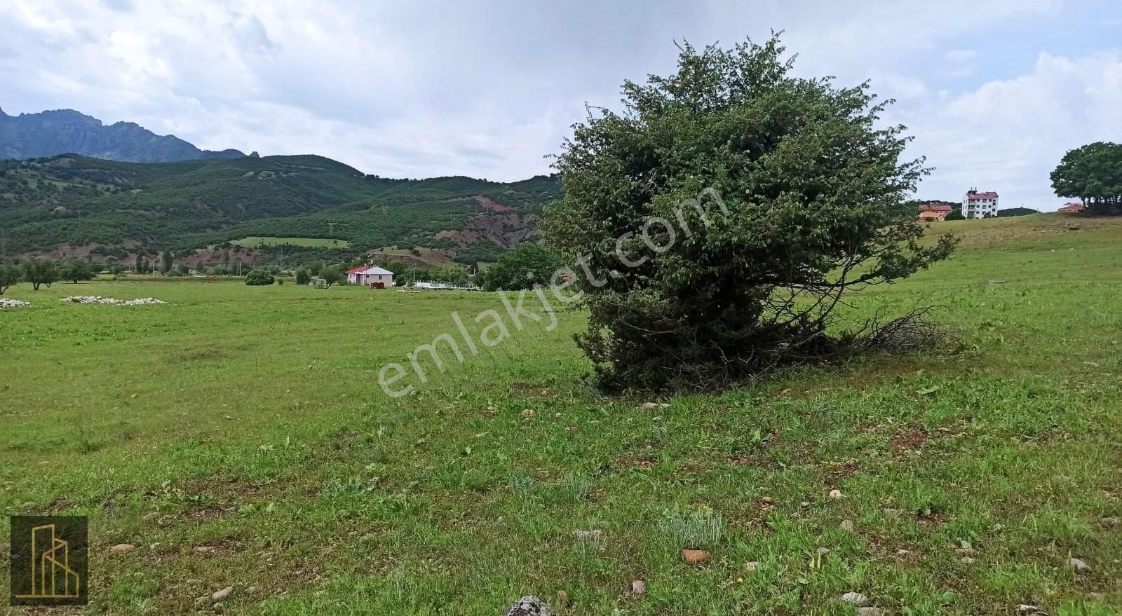 Tunceli Merkez İsmet İnönü Satılık Tarla TUNCELİMERKEZ İSMET İNÖNÜ MAHALLESİ ANA YOLA YAKIN ARSA