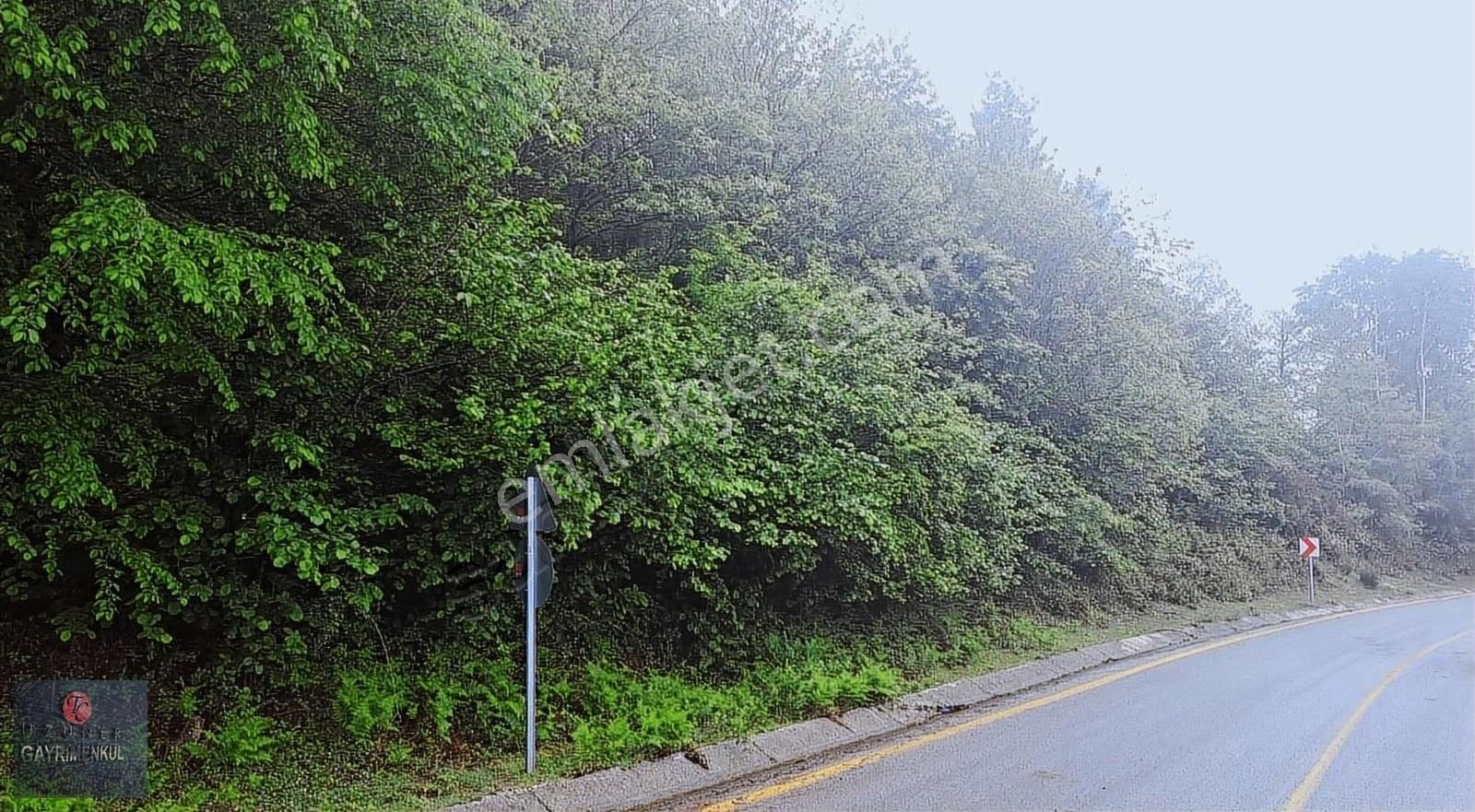 !!! Gölcük Şevketiye Köyünde %5 İmarlı Satılık Arazi !!! - Görsel 3