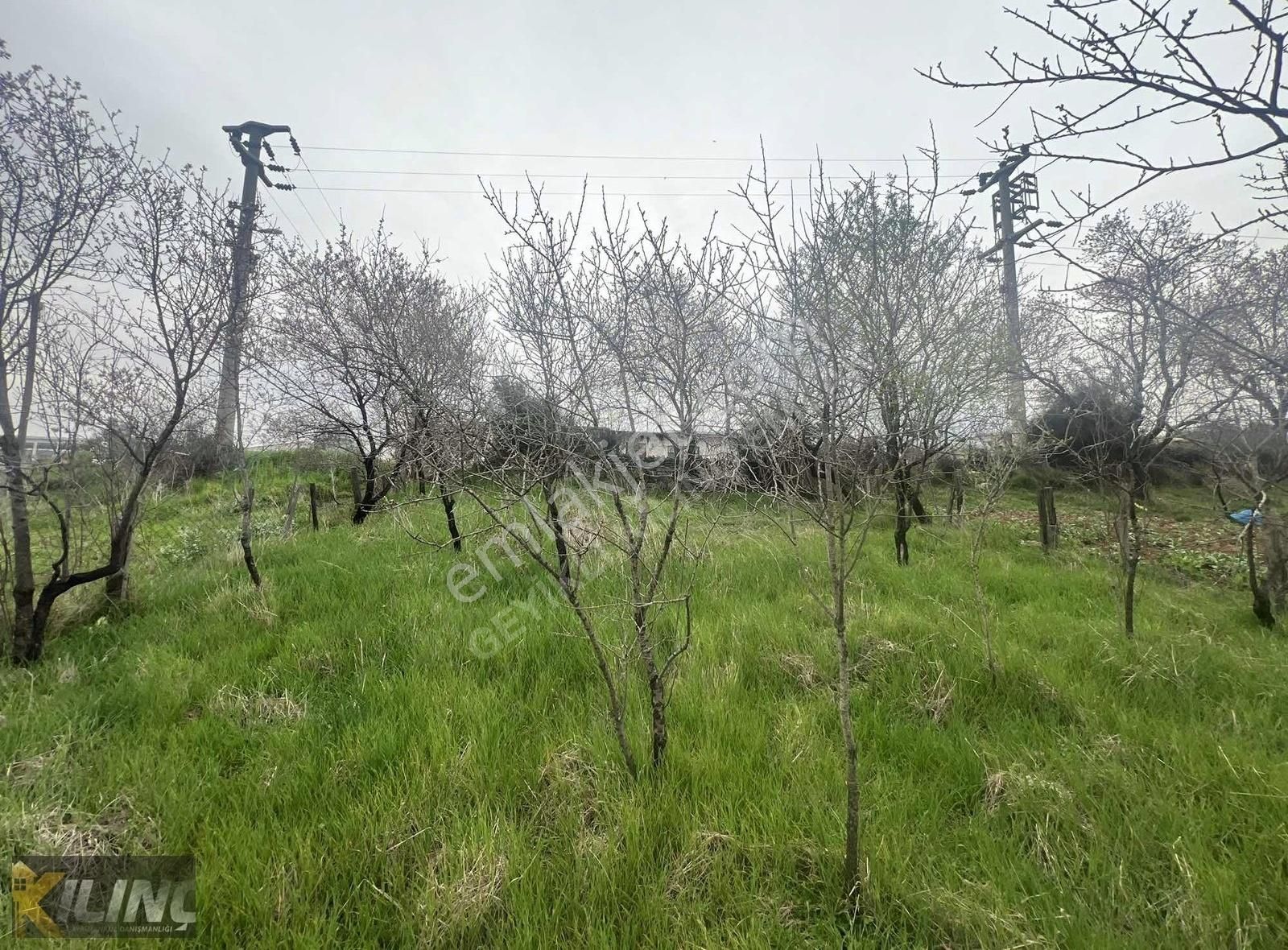 Bayramiç Tepecik Satılık Konut İmarlı Çanakkale Bayramiç Tepecik'te Doğa İle İç İçe Konut İmarlı Arsa