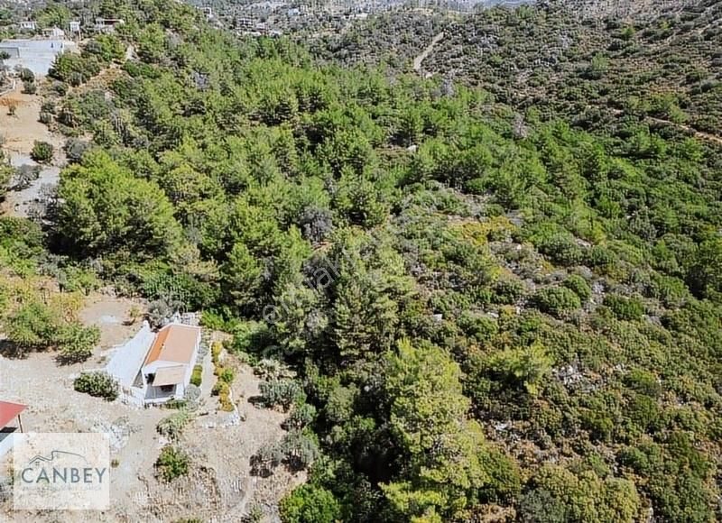 Datça Mesudiye Satılık Tarla Mesudiye'de Deniz Gören Kadastral Yolu Olan 2.891 M2 Tarla