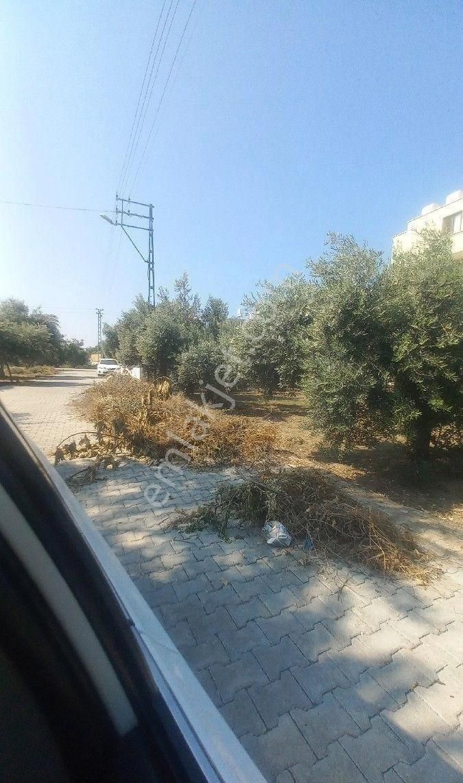 Arsuz Karaağaç Övündük Satılık Konut İmarlı ARSUZ KARAAĞAÇ ÖVÜNDÜK MAH.KARAAĞAÇ STADYUM CİVARI %35 İMARLI SATILIK PARSEL