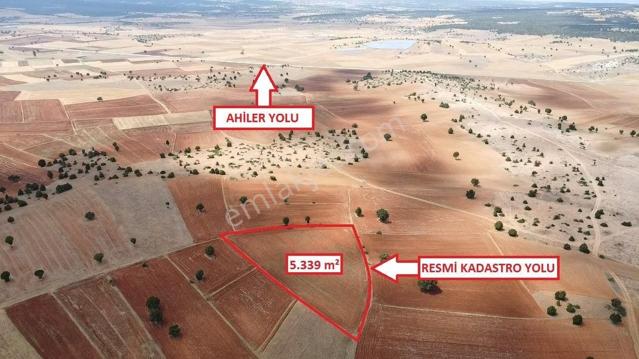 Kütahya Merkez Doğalar Köyü Satılık Tarla  DOĞALAR YOLA CEPHE 5.339m2 EKİLİR DÜZ ARAZİ AÇIKLAMAYI OKUYUNUZ!