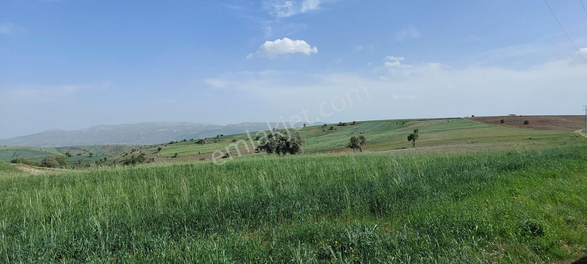 Akyurt Uzunlar Satılık Bağ & Bahçe Ankara Akyurt Uzunlar Satılık Arazi Çayır