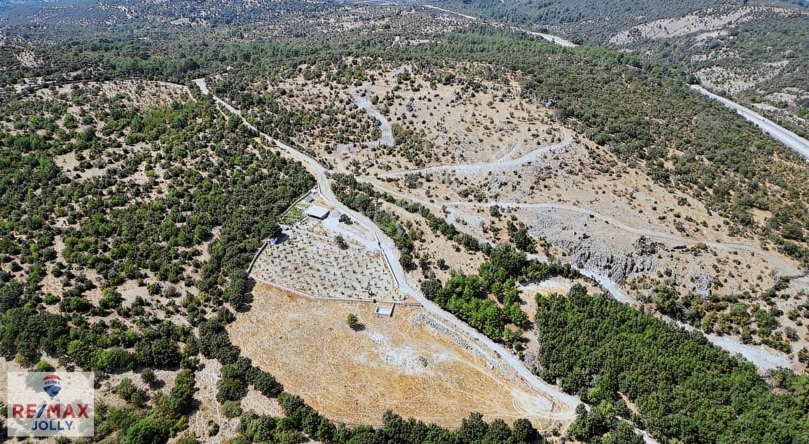 Ayvacık Ahmetçe Köyü (Çaltepe) Satılık Tarla Çanakkale Ayvacık Ahmetçe Köyü Yatırımlık Tarla !!!