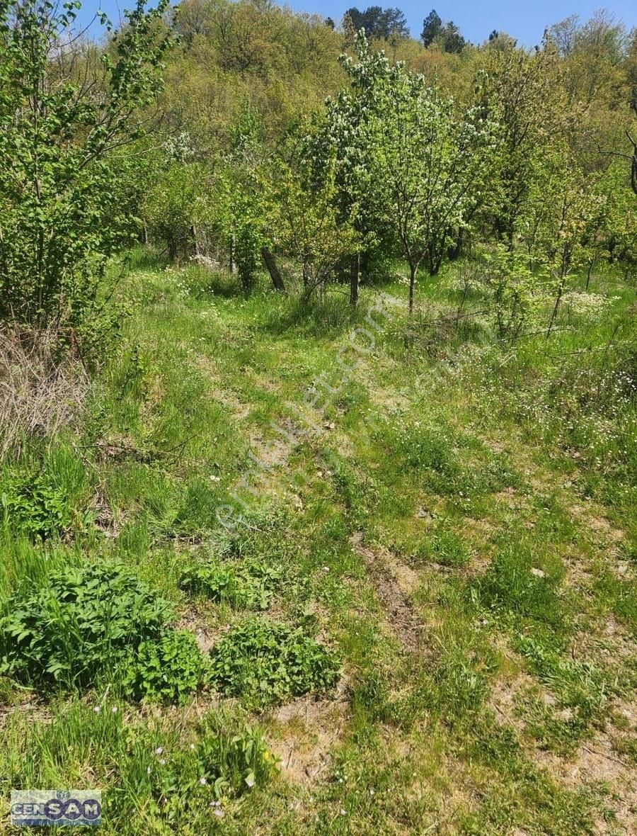 Balıkesir Bigadiç'te 176 M2 Altın Maddeni Bölgesinde Asfalt Cephe Fırsat Bahçe - Görsel 5