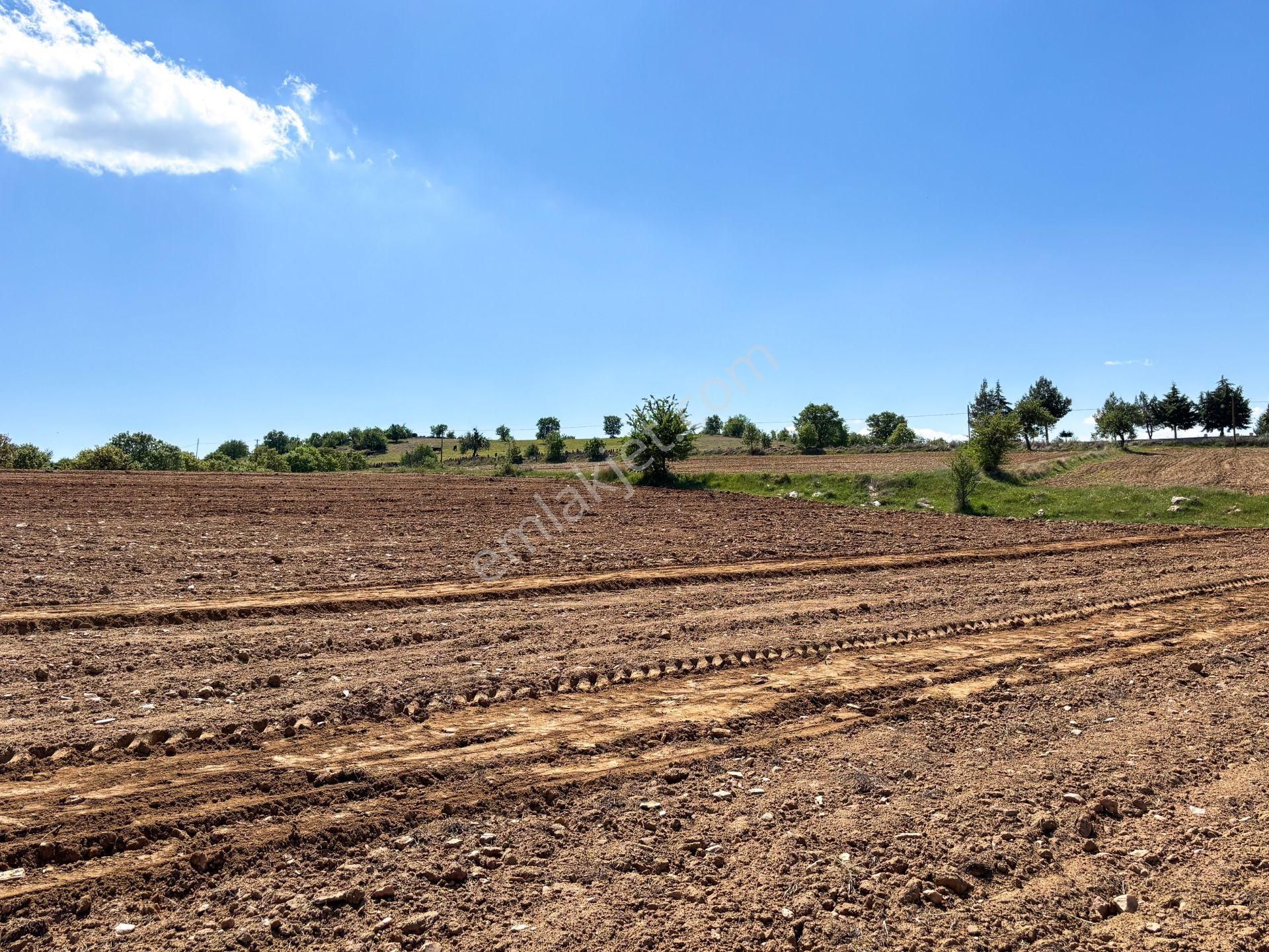 Biarsa Farkıyla ! Uşak Eşme'de 471 M² İmarlı Müstakil Arsa - Görsel 7