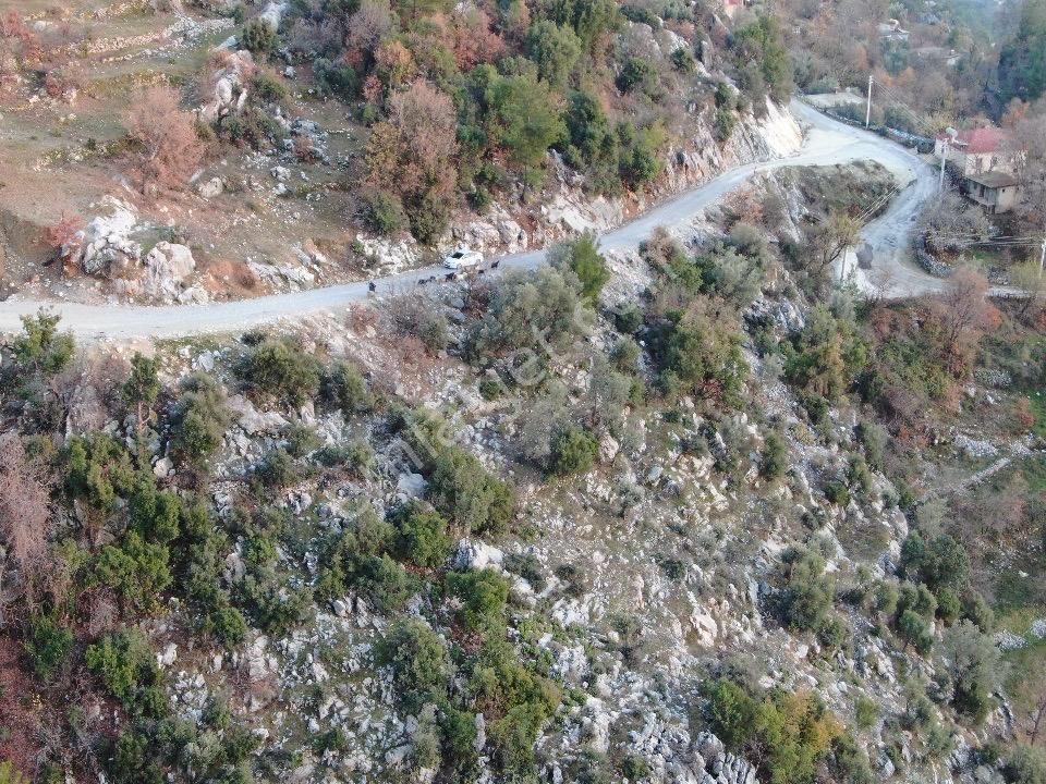 Alanya Taşbaşı Satılık Tarla 5.500m2 uygun fiyat yerleşim yeri