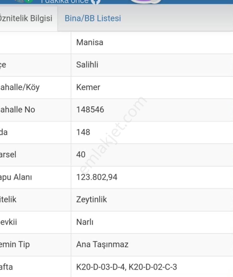 Turgutlu Turan Satılık Zeytinlik Satılık Zeytinlik Salihli Kemer