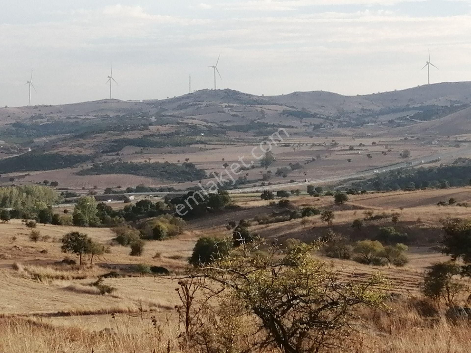 Karesi Karakol Satılık Tarla C21 Loca'dan Balıkesir Karesi Karakol Da 1739 M2 Satılık Tarla