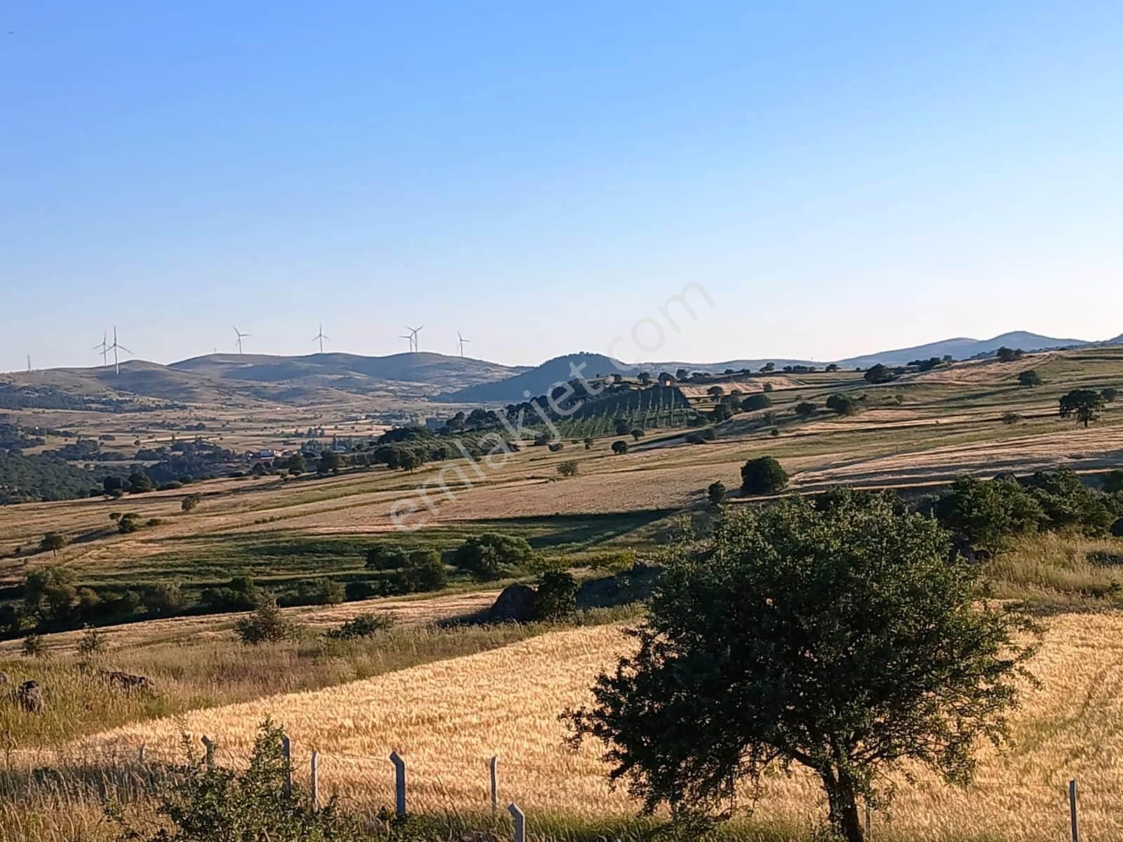 C21 Loca'dan Balıkesir Karakol Da 1739m2 Acil Satılık Tarla
