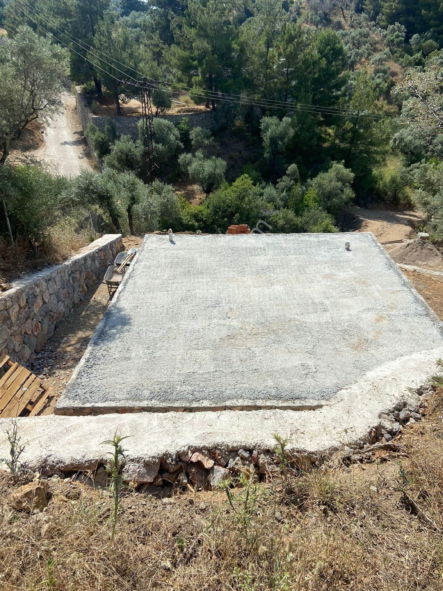 Kemalpasa Satılık Zeytinlik