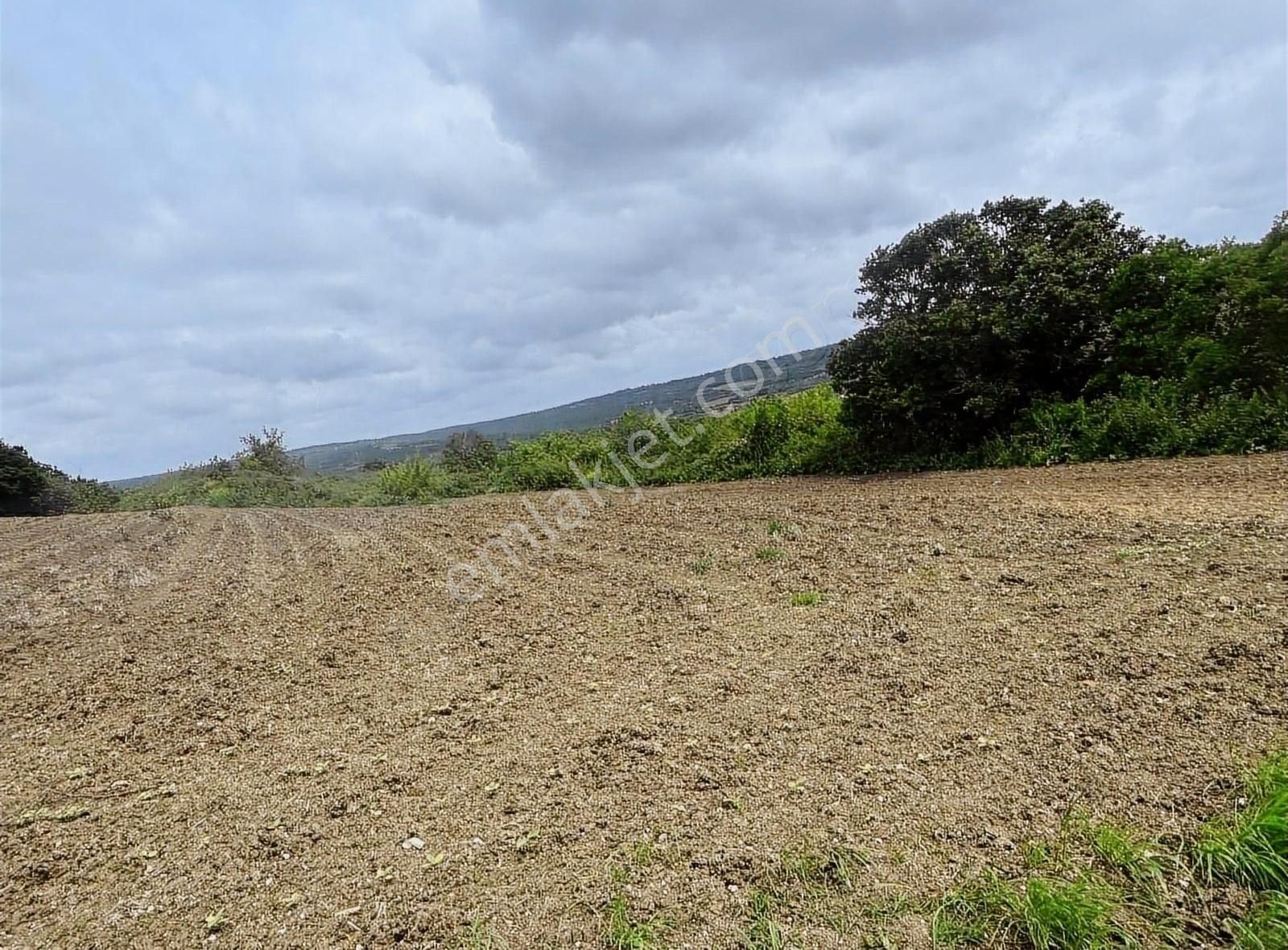 Silivri Kurfallı Satılık Tarla Doğadan Kurfalıda Yanya 230 M2 Parseller