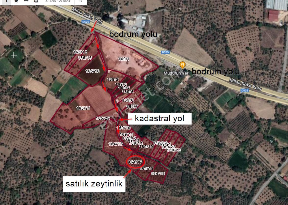 Milas Danişment Satılık Zeytinlik Muğla Milas Danışment Satılık Zeytinlik Yolu Var 2400m2